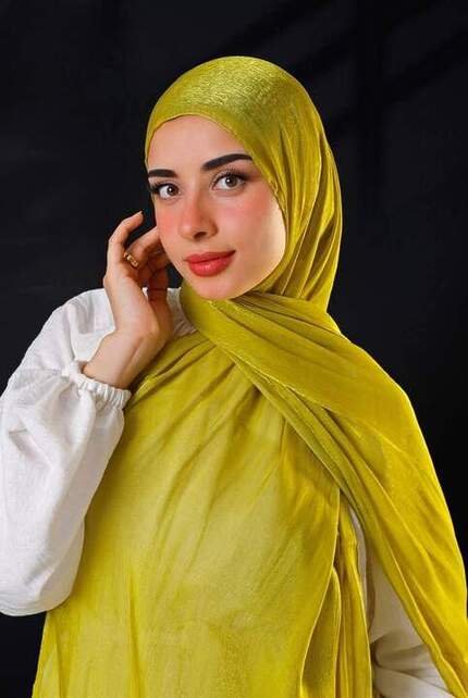 Organza Swari Scarf