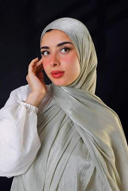 Organza Swari Scarf