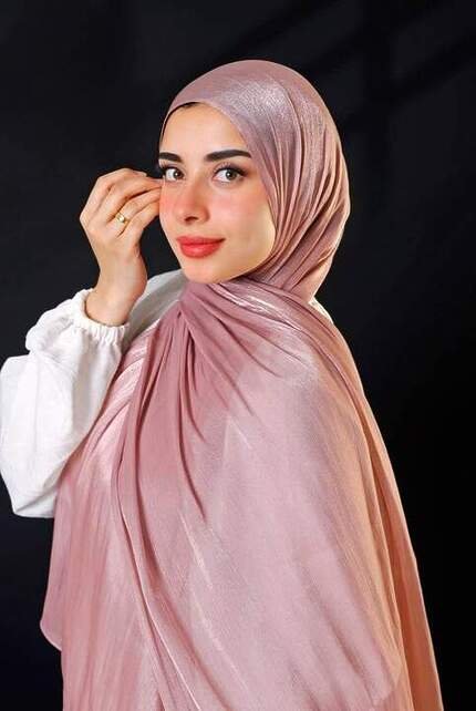 Organza Swari Scarf